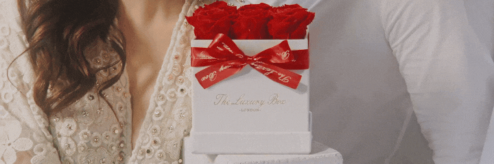 The Luxury Box USA