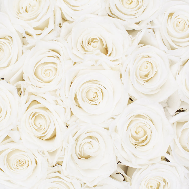white infinity roses delivered in green box as gift for her birthday, anniversary, valentine's day