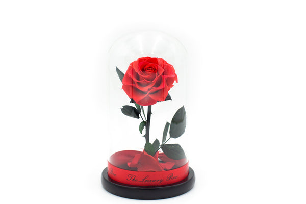View Our Eternity Roses In Glass Domes