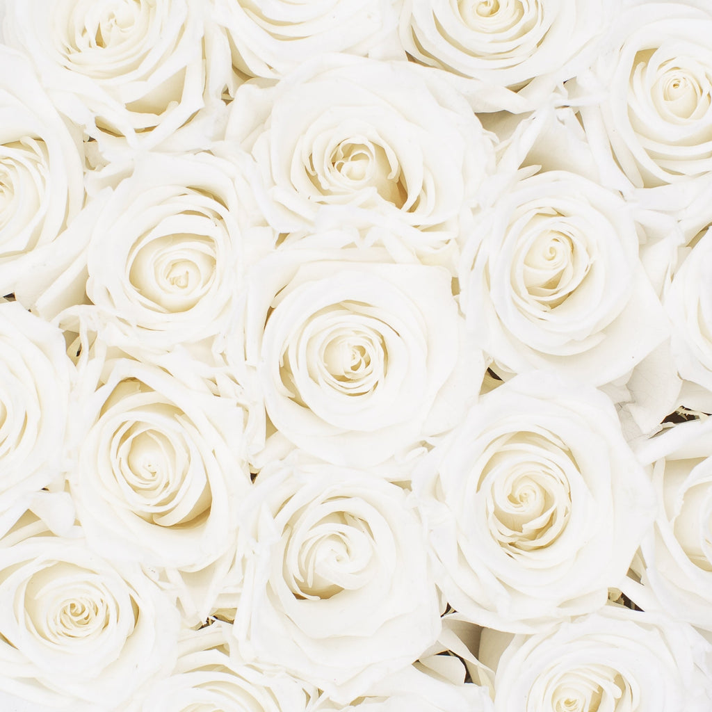 white infinity roses that last for years in navy box gift for her birthday anniversary and valentine's day