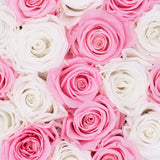 Pink and white eternity roses that last for years in navy box gift for her birthday anniversary and valentine's day