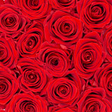 red infinity roses that last for years in a box gift for her birthday anniversary and valentine's day