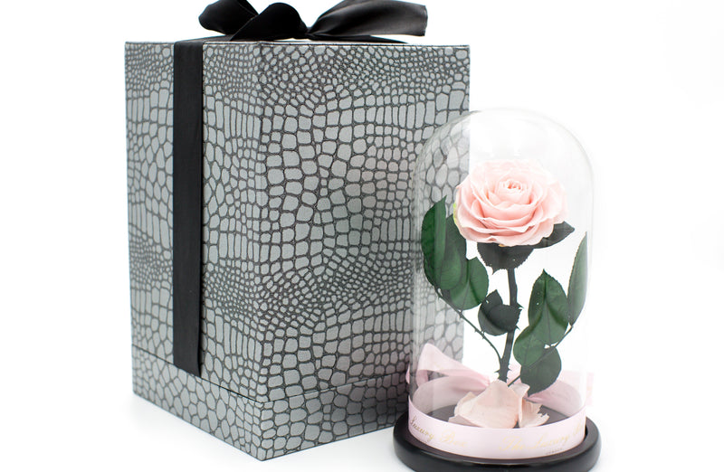 Pink Rose In Glass Dome XL - Luxury Box London